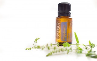 doTERRA Essential Oils | Tampa Bay | Simon Wellness Consulting